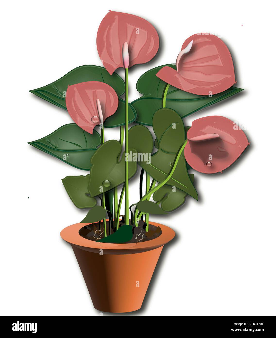 3D Planta de interior de Anthurium rosa Foto de stock