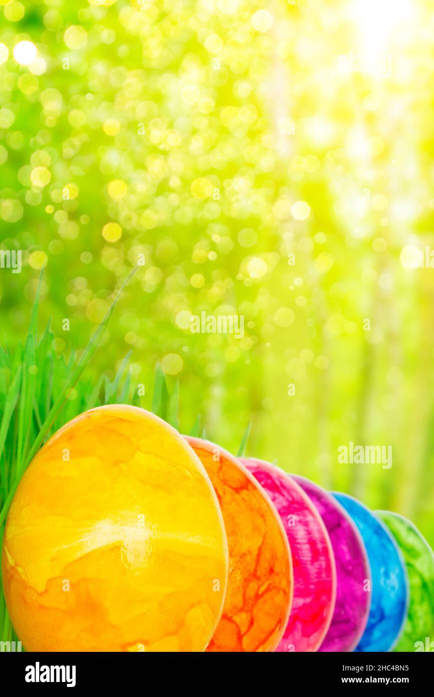 Seis coloridos huevos de Pascua en todos los tonos del arco iris sobre un fondo verde de la temporada de primavera, copiar espacio para el texto de Feliz Pascua. Foto de stock