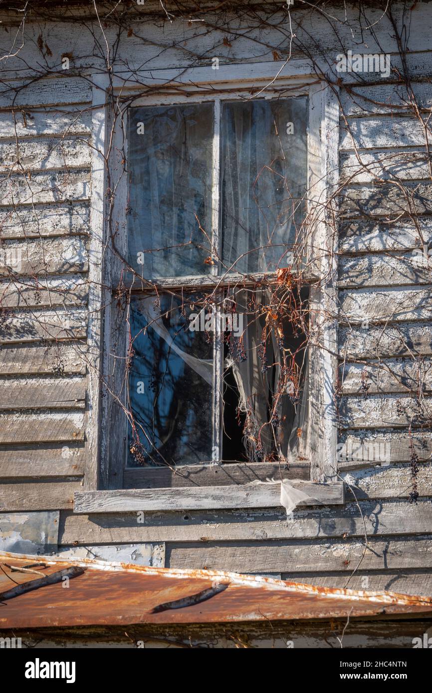 Estados Unidos Virginia Luray Page County Una antigua casa de madera abandonada dilapidada y que se cae con una vieja ventana rota con cortinas hechas jirones Foto de stock
