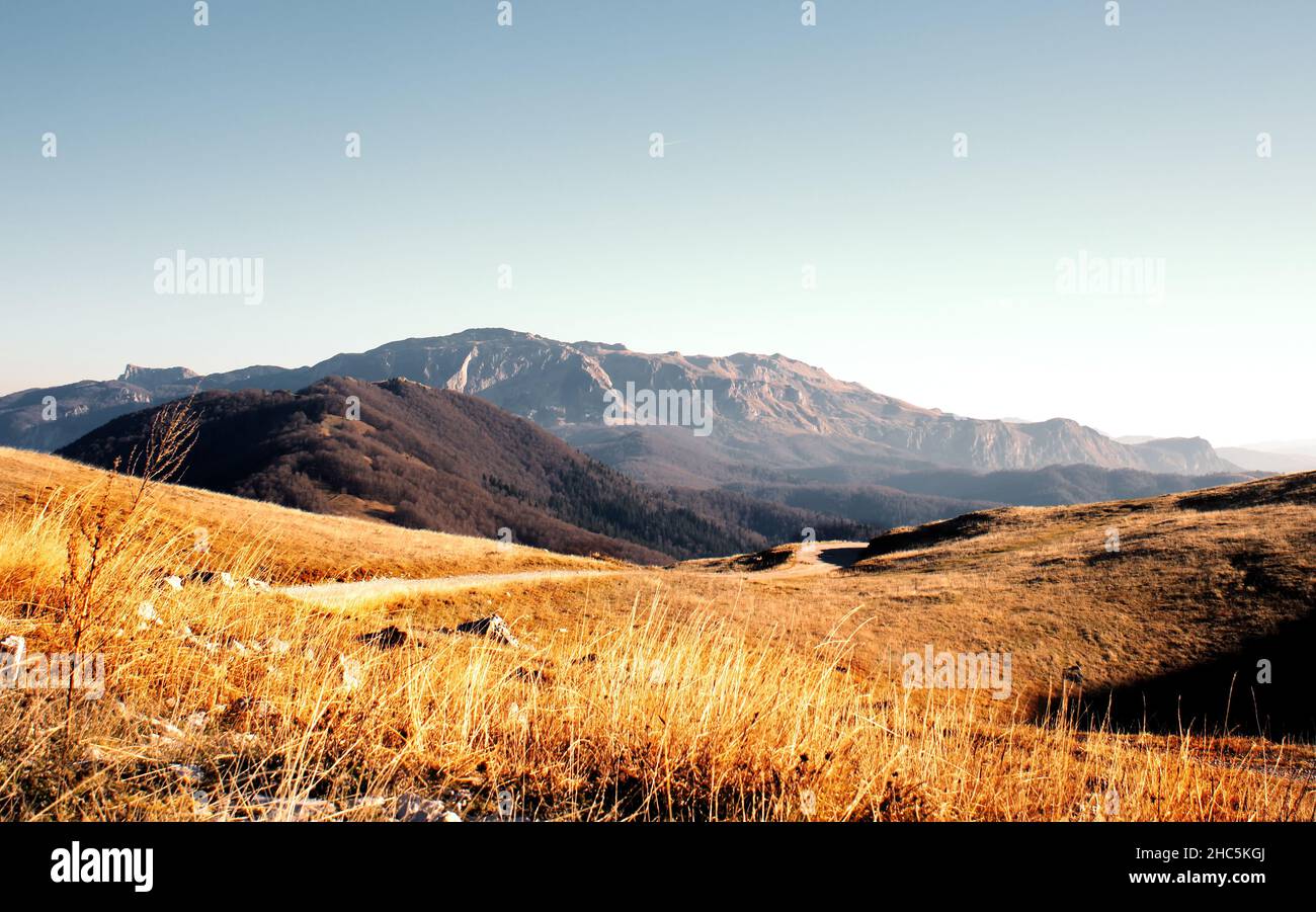 Hermoso paisaje de montañas y un campo dorado en el daytim Foto de stock