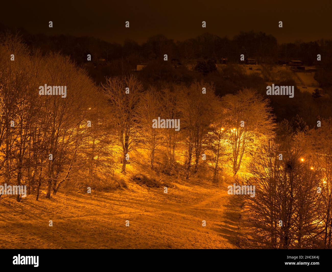 Prado nevado y árboles por la noche, iluminados por luz naranja-amarilla de las lámparas de la calle Foto de stock