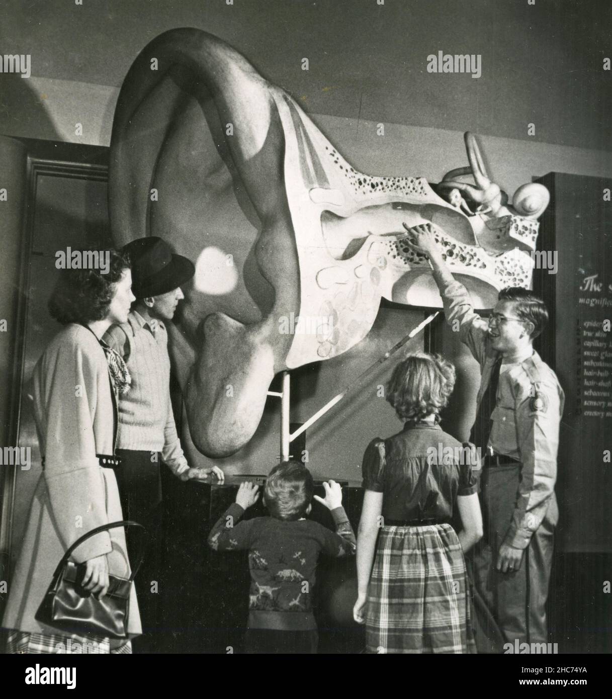 Un demostrador explica las funciones del oído humano en un modelo gigantesco, Chicago Museum of Science and Industry, USA 1950s Foto de stock