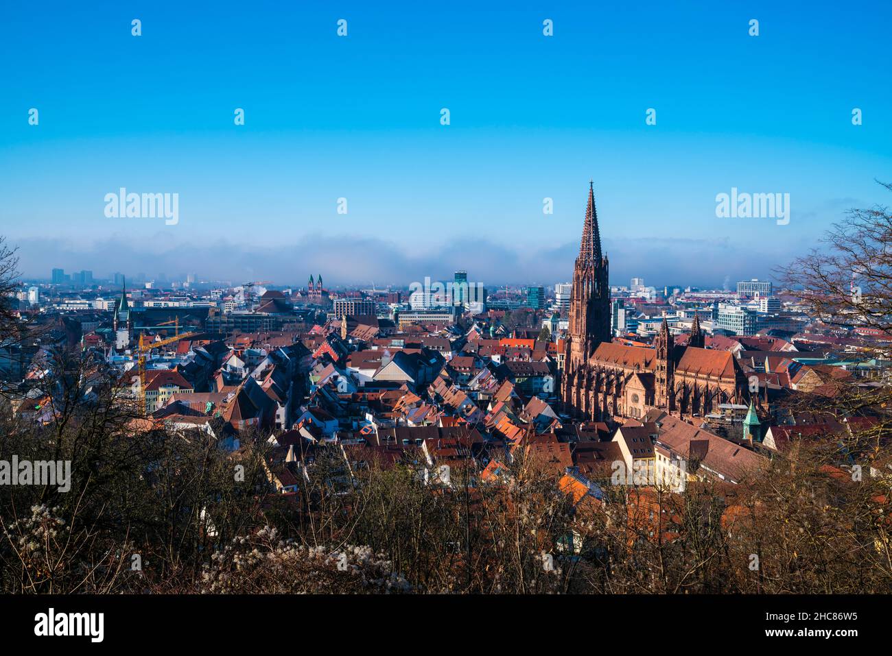 Alemania, Freiburg im Breisgau paisaje urbano, antigua catedral gótica de muenster en invierno con una atmósfera niebla, vista panorámica sobre la puesta de sol Foto de stock