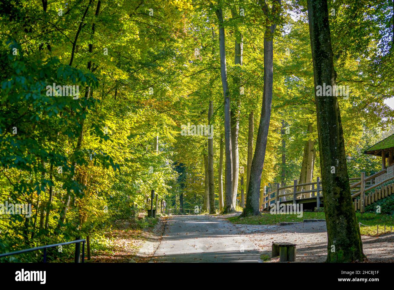 Una hermosa foto de un sendero otoñal en un parque Foto de stock