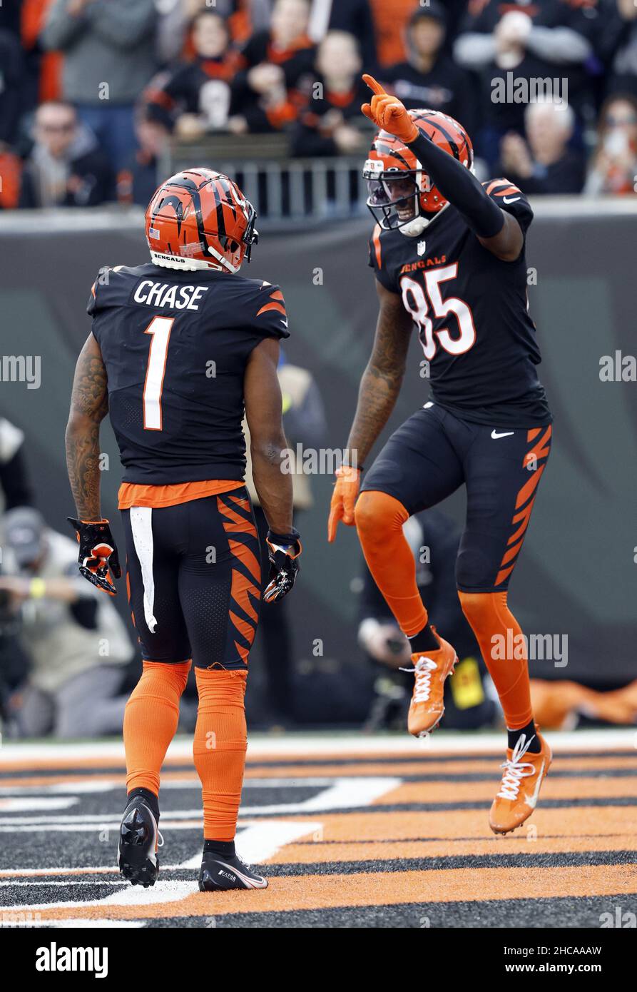 Cincinnati Bengals wide receiver Tee Higgins (85) runs up the field during  an NFL football game against the Cleveland Browns, Monday, Oct. 31, 2022,  in Cleveland. (AP Photo/Kirk Irwin Stock Photo - Alamy