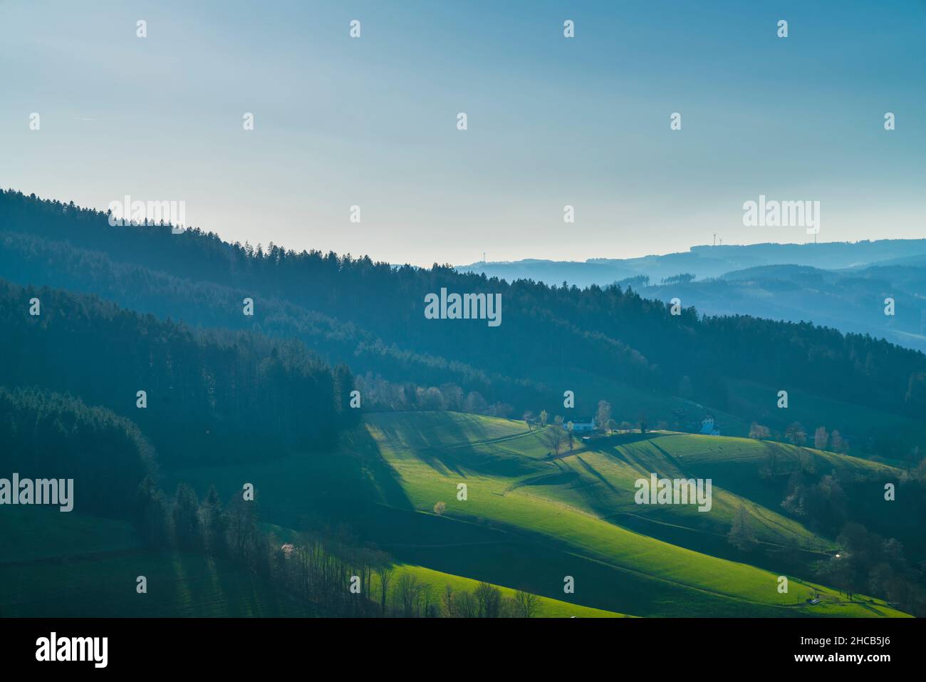 Alemania, Vista panorámica aérea del bosque negro sobre pastos verdes paisaje natural y borde del bosque con sombras al atardecer Foto de stock