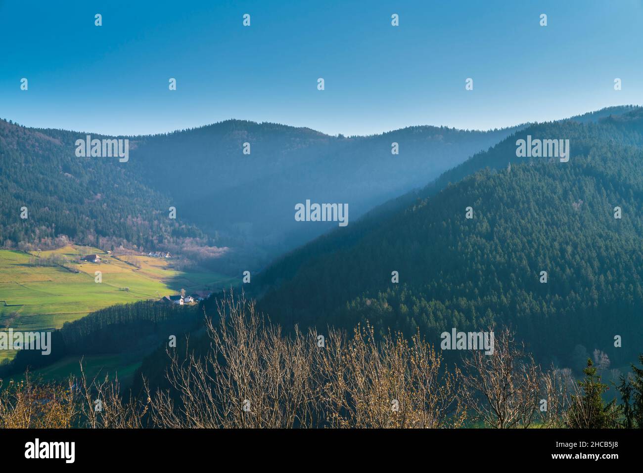 Alemania, Schwarzwald vista panorámica sobre las montañas cubiertas de árboles verdes y valles con cielo azul cerca de friburgo de breisgau Foto de stock