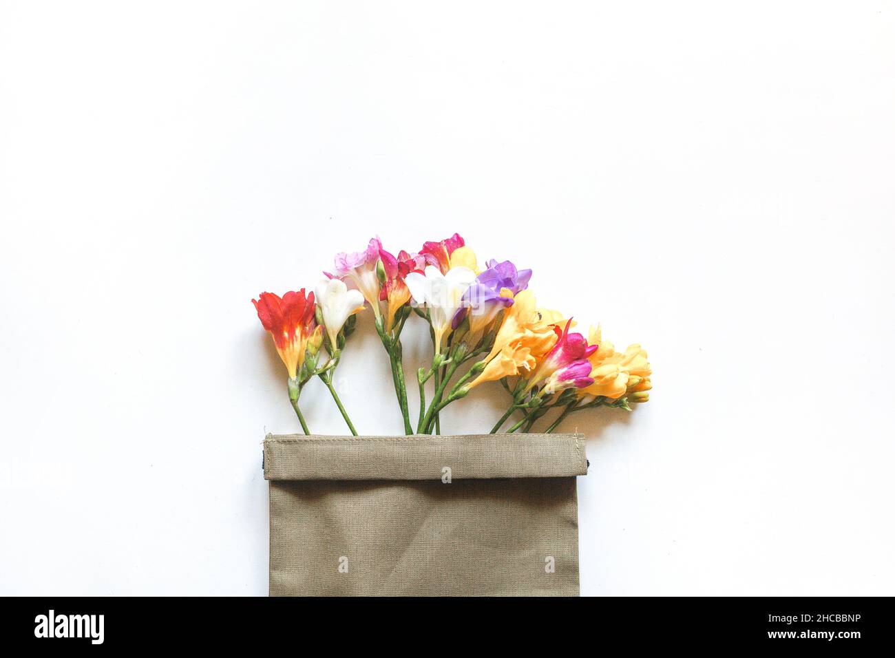 Flores multicolores de la Freesia y una ramita de flor de cerezo en una bolsa de lona sobre un fondo blanco. Plano, vista superior. Foto de stock