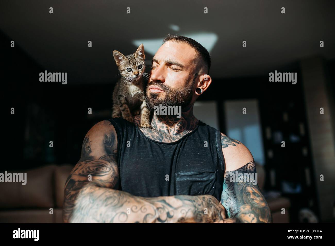 Gato de raza mixta sentado en el hombro muscular del hombre en casa Foto de stock