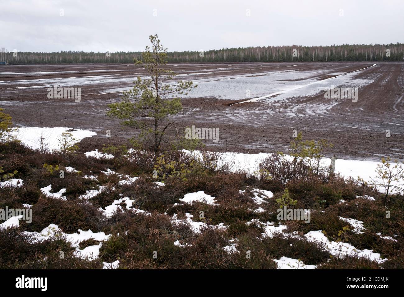 Campos de explotación de turba en el pantano de Cenas tīrelis en invierno, a 30 kilómetros al oeste de Riga, Letonia Foto de stock