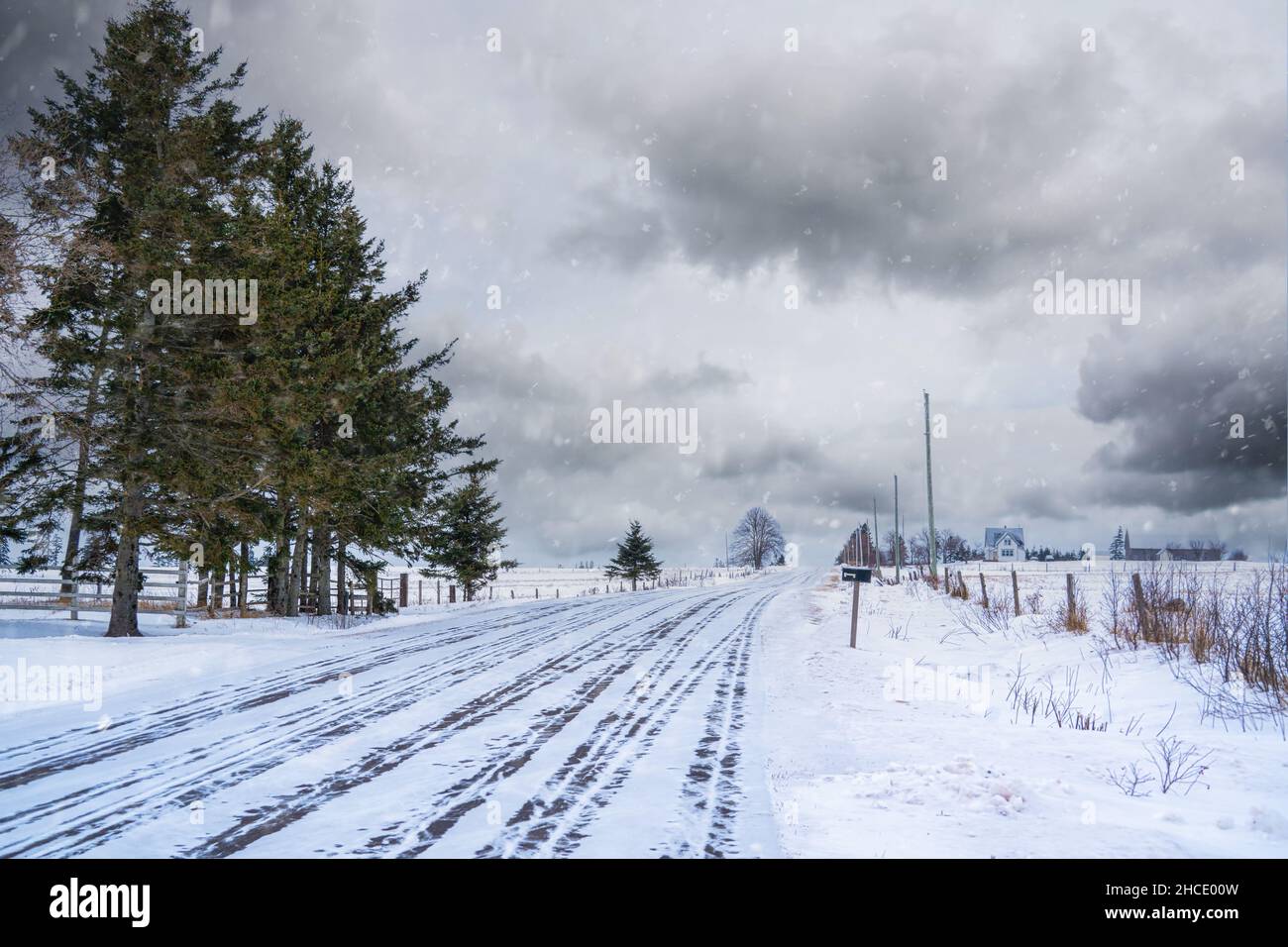 Carretera que viaja a través de un paisaje rural de invierno. Foto de stock