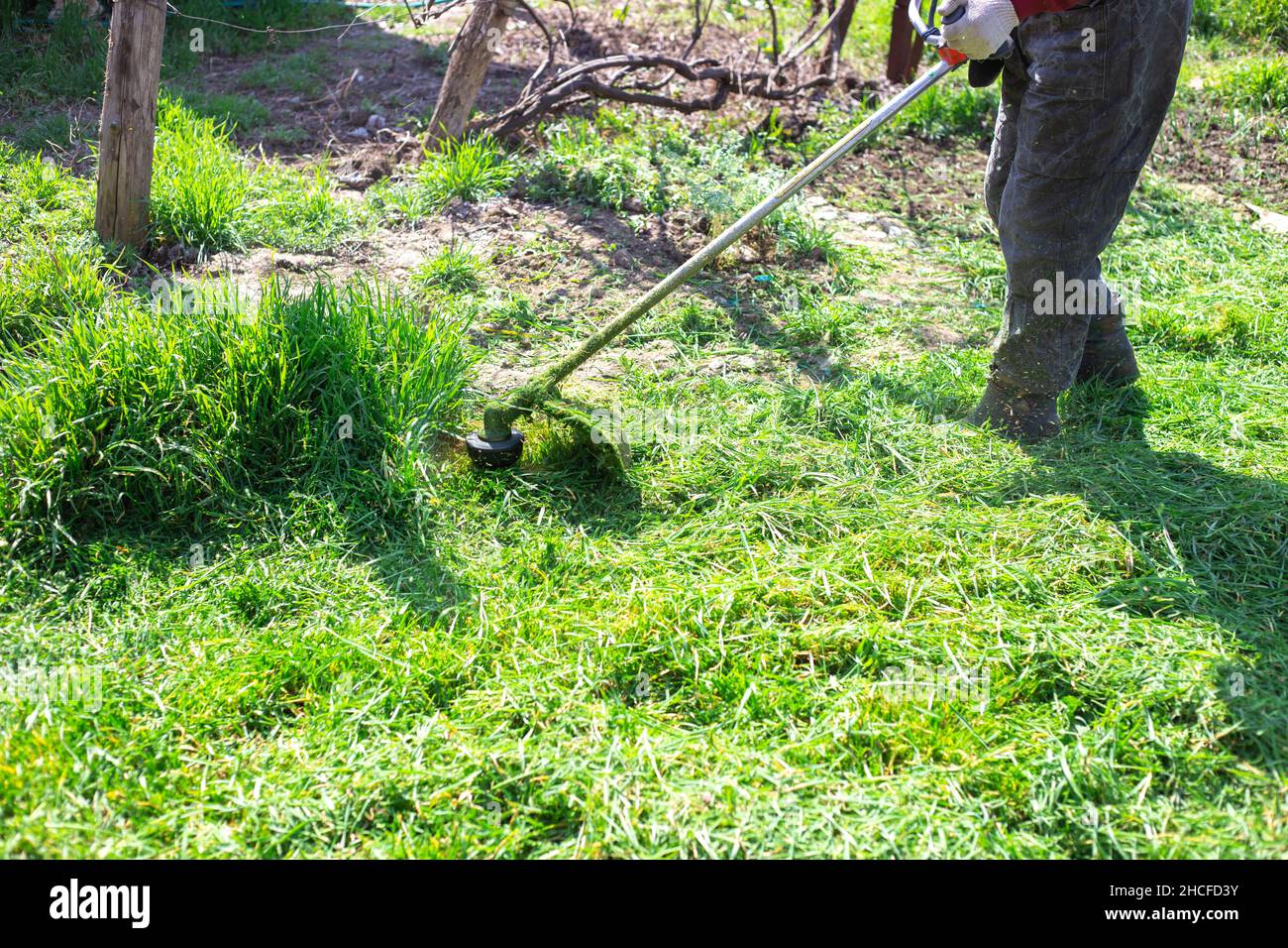 Un jardinero mola hierba verde con un cortacésped en una parcela de jardín. Diseño paisajístico y paisajístico. Foto de stock
