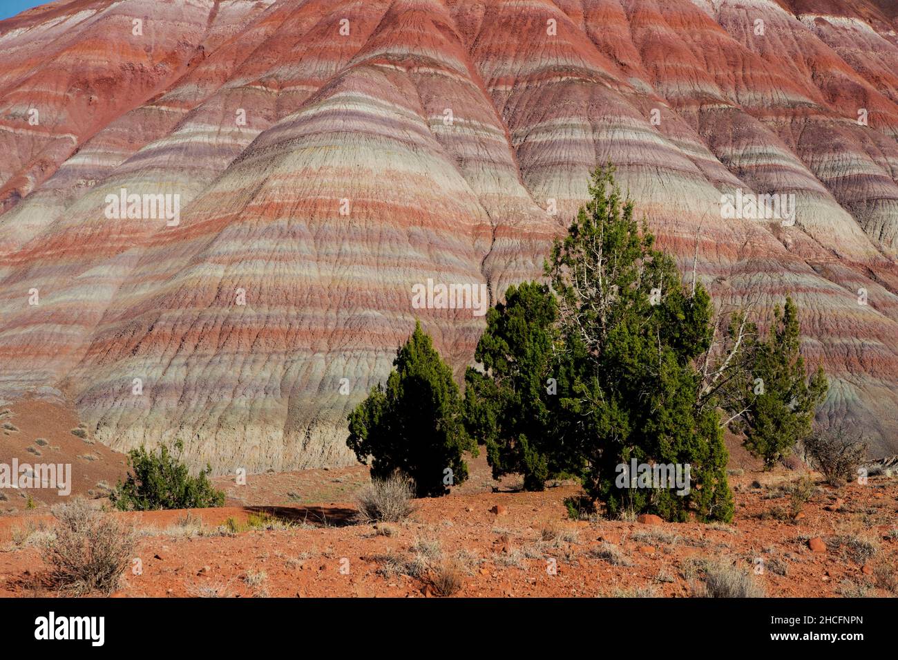 Chinle Formation (Paria Badlands) cerca de Old Paria en el sureste de Utah Foto de stock