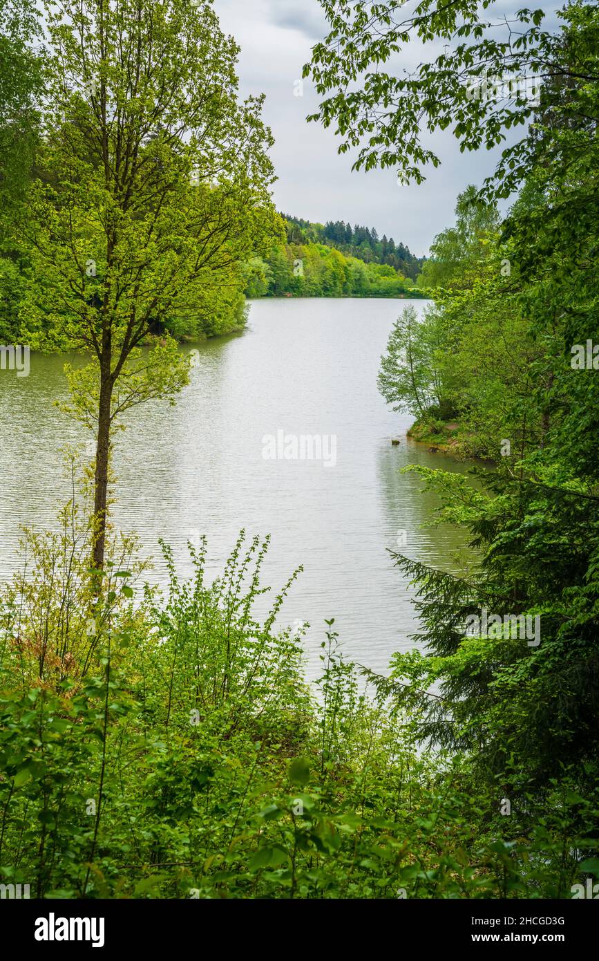 Alemania, Lago de agua de Herrenbachstausee barrera lago en bosque verde naturaleza paisaje cerca de adelberg goeppingen Foto de stock