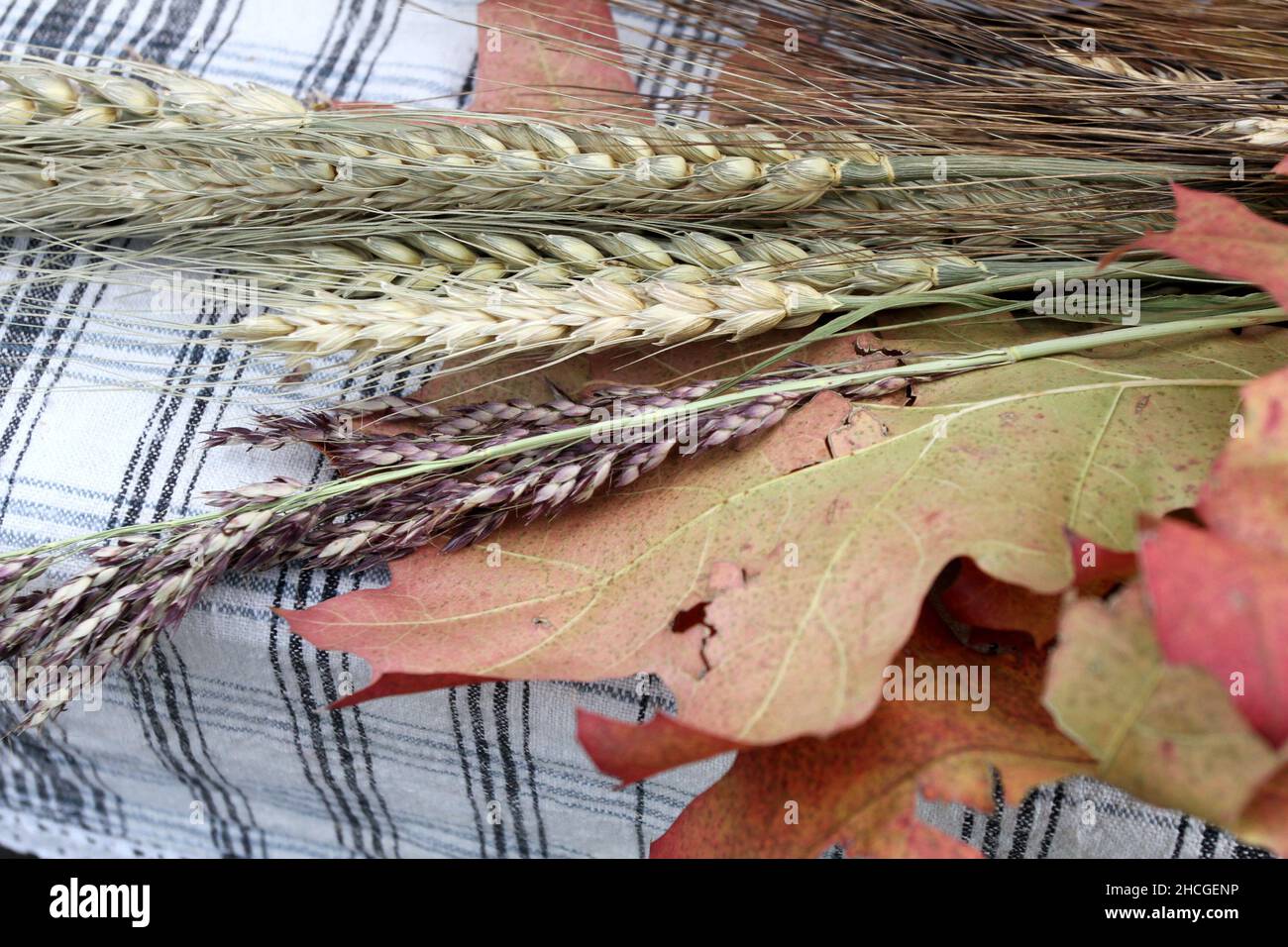 Antecedentes de las clases de trigo sobre la mesa Foto de stock