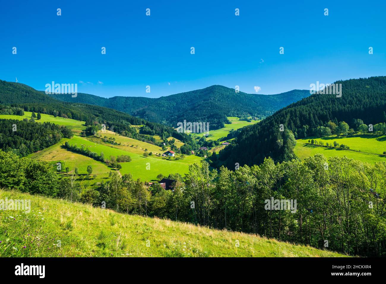 Alemania, vista panorámica del bosque negro en la naturaleza paisaje turismo región de senderismo en el borde del bosque entre las montañas Foto de stock