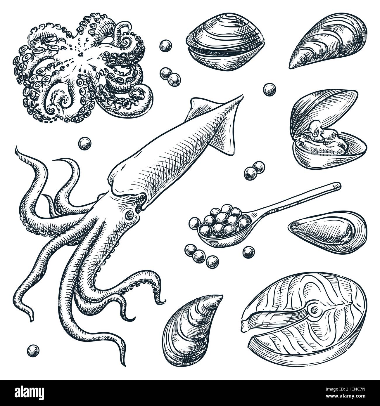Conjunto de mariscos frescos. Ilustración de croquis vectorial dibujada a mano. Calamar, pulpo, conchas, mejillones, ostras, iconos de caviar rojo aislados sobre fondo blanco. Mar Ilustración del Vector