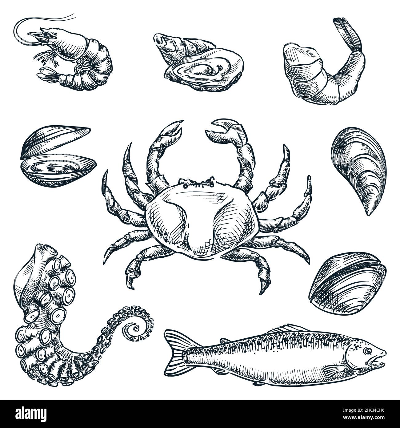 Conjunto de mariscos y pescados crudos frescos. Ilustración de croquis vectorial dibujada a mano. Cangrejo, tentáculo de pulpo, conchas, mejillones, iconos de camarón aislados en el backgro blanco Ilustración del Vector