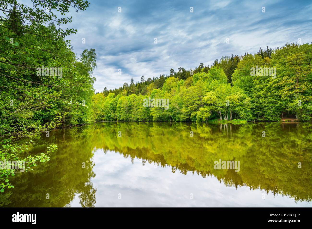 Alemania, el agua tranquila del lago de arenbachstausee rodeado de bosque verde y paisaje natural cerca de adelberg y goeppingen que se refleja en el sur de agua vidriosa Foto de stock