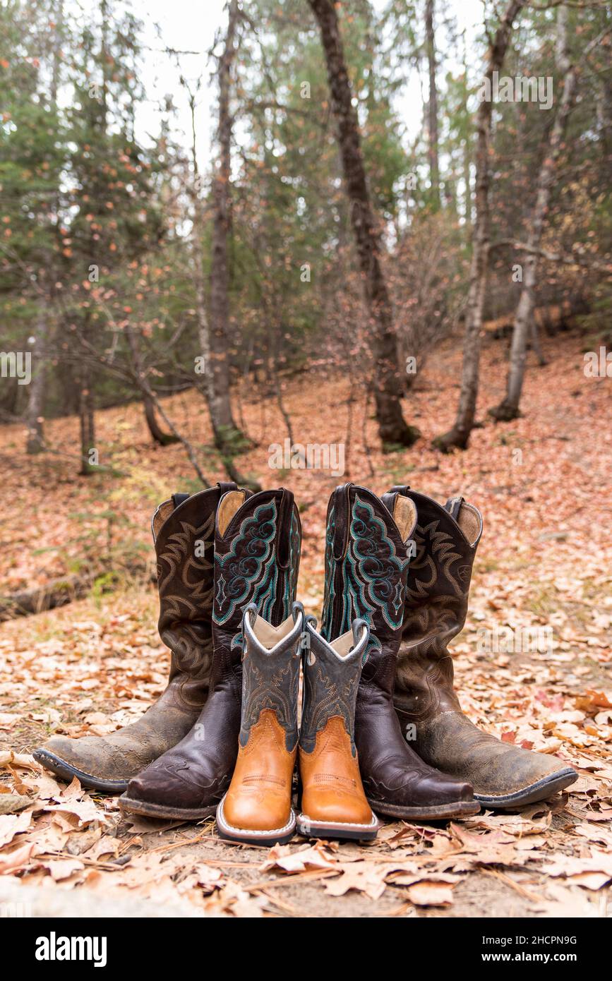 Disparo vertical de tres pares de botas de vaquero en el bosque Foto de stock
