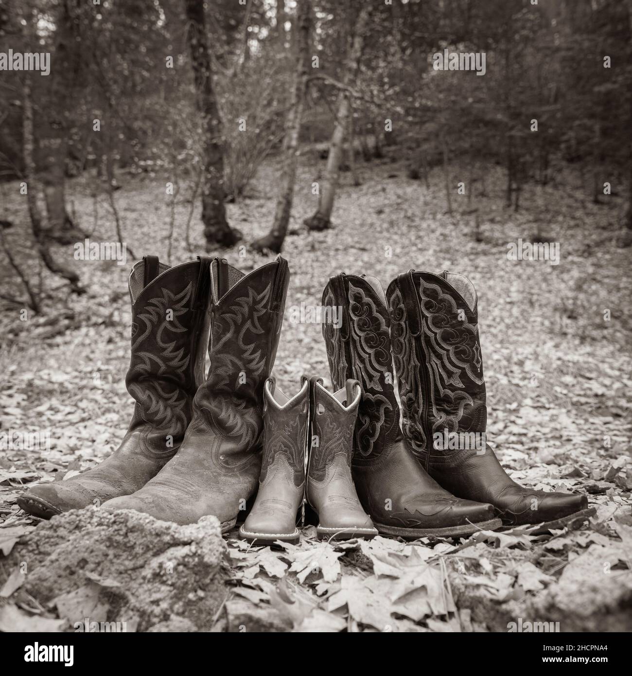 Escala de grises de tres pares de botas de vaquero en el bosque Foto de stock