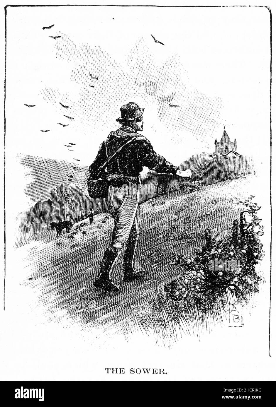 Grabado de un agricultor sembrando semillas a mano para la próxima cosecha, publicado en 1892 Foto de stock
