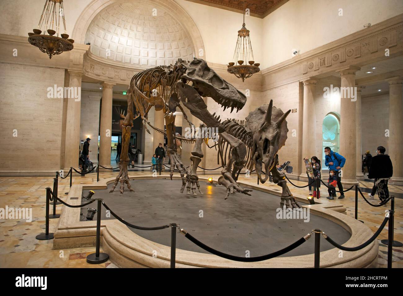 Exhibición de esqueletos de dinosaurios en el vestíbulo principal del Museo de Historia Natural en Los Angeles, CA Foto de stock
