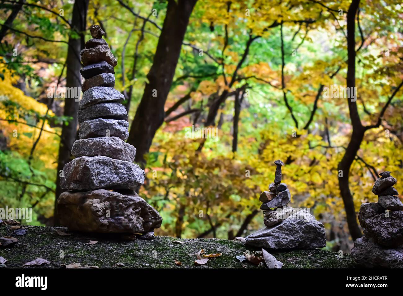 Piedras apiladas frente a árboles cambiando los colores de la temporada de otoño Foto de stock