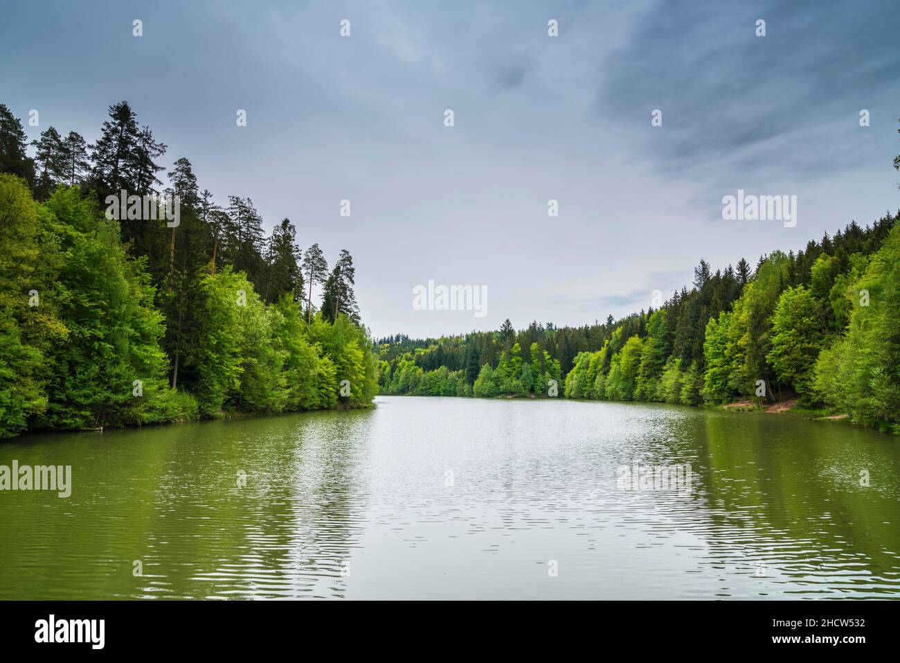 Alemania, Herrenbachstausee agua del lago en bosque verde naturaleza paisaje en adelberg goeppingen con cielo nublado Foto de stock