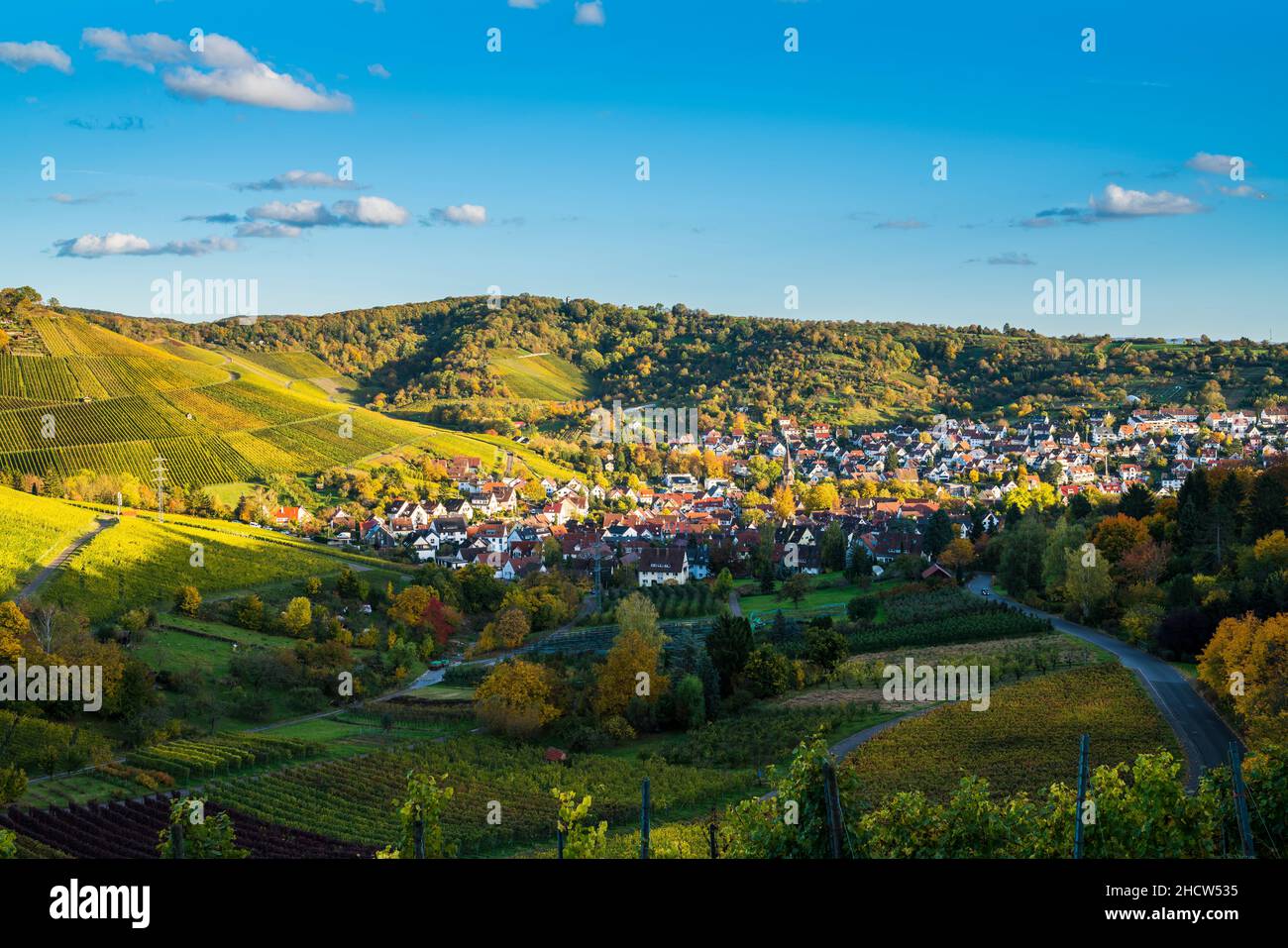 Alemania, Stuttgart uhlbach casas y la iglesia entre los coloridos viñedos paisaje al atardecer en otoño Foto de stock