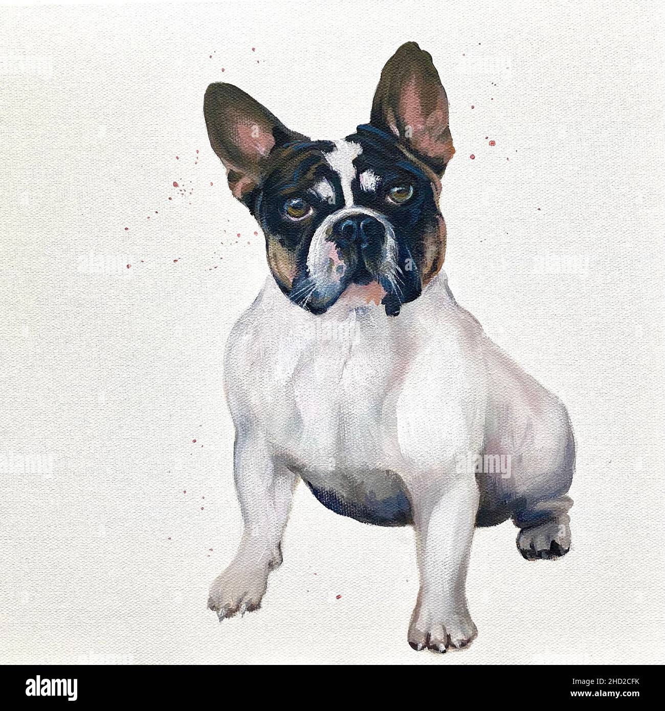Pintura de un bulldog francés sentado Foto de stock