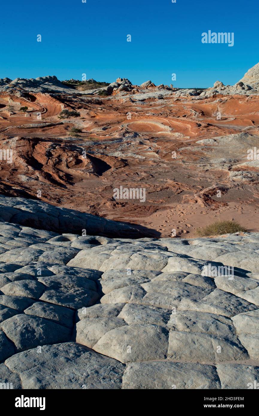White Pocket Arizona en el Monumento Nacional Vermillion Cliffs Arizona Foto de stock