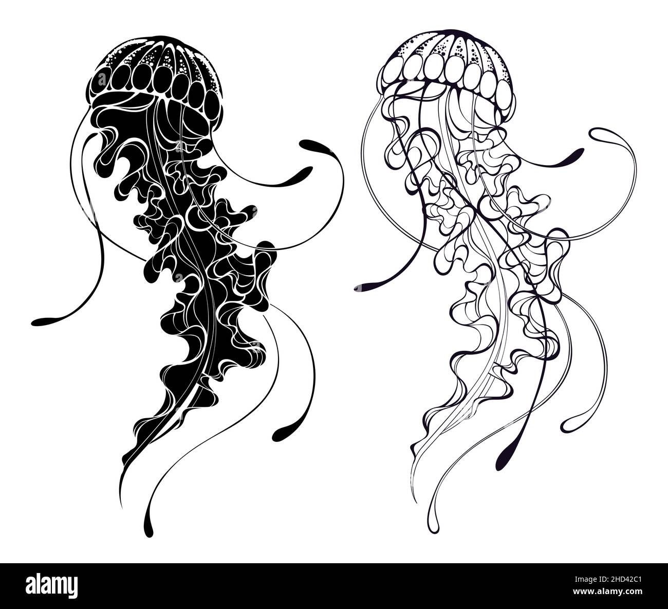 Contorno, artísticamente dibujado medusas con largos y hermosos tentáculos sobre fondo blanco. Medusas silueta. Ilustración del Vector