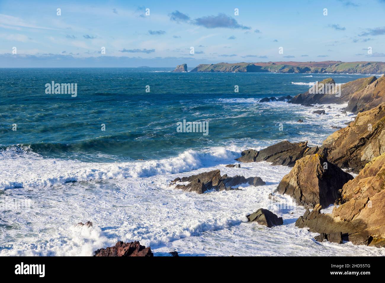 Reserva natural marina de Skomer con la isla de Skomer en el fondo, Pembrokeshire, Gales del Sur Foto de stock