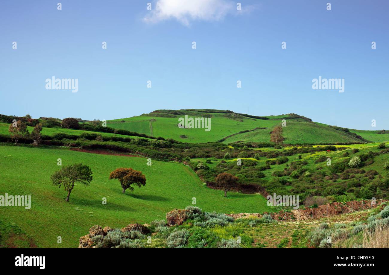 Italia, Cerdeña campiña en primavera cerca de Sassari. Foto de stock