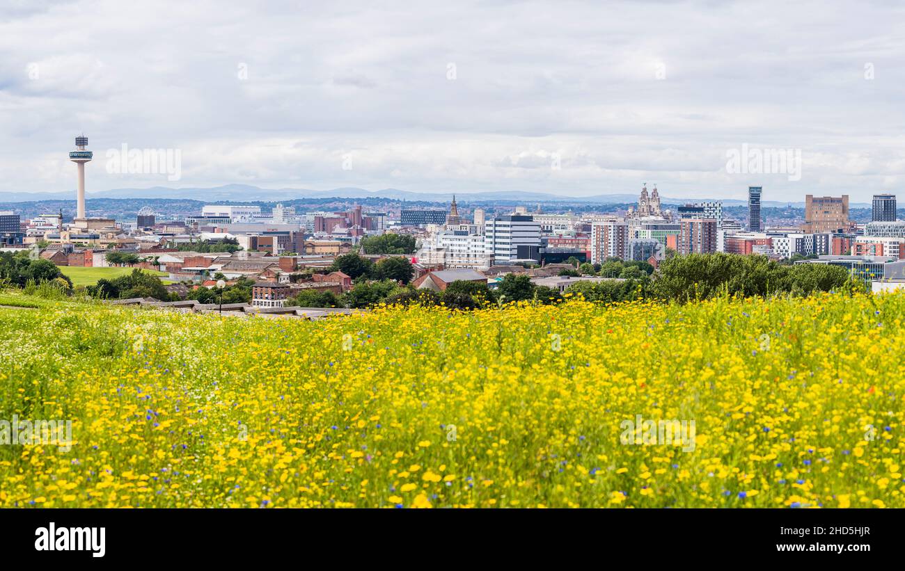 Panorama del horizonte de Liverpool visto sobre un hermoso prado de flores en Everton Park. Foto de stock