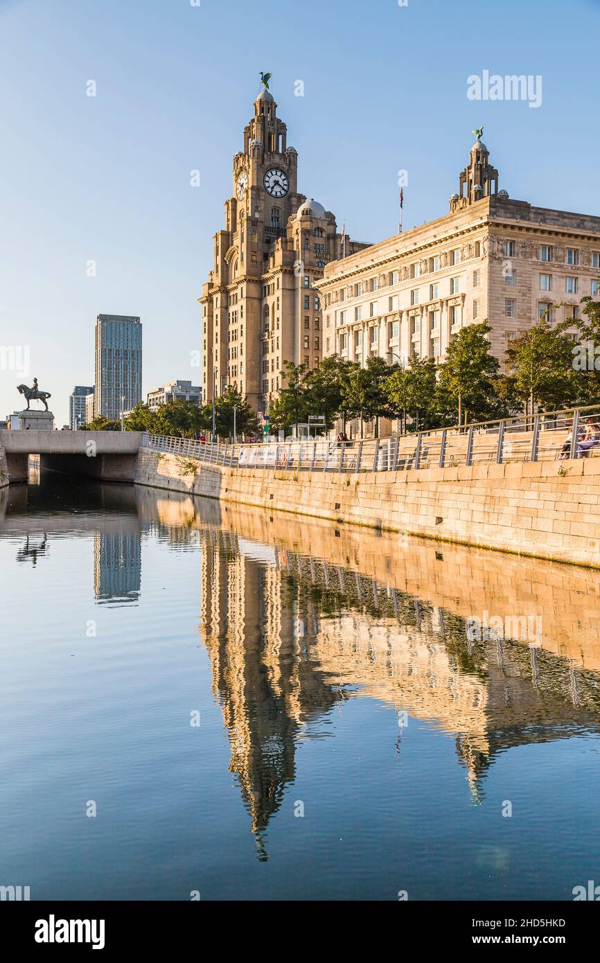 Edificio Royal Liver en la costa de Liverpool que se refleja en el canal de Leeds Liverpool. Foto de stock