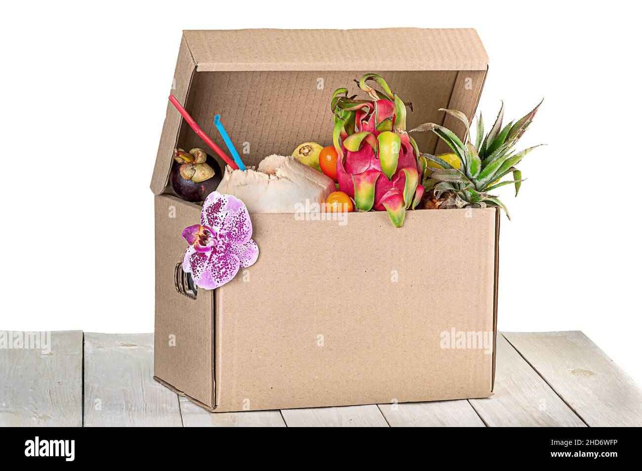 Caja tropical fotografías e imágenes de alta resolución - Alamy