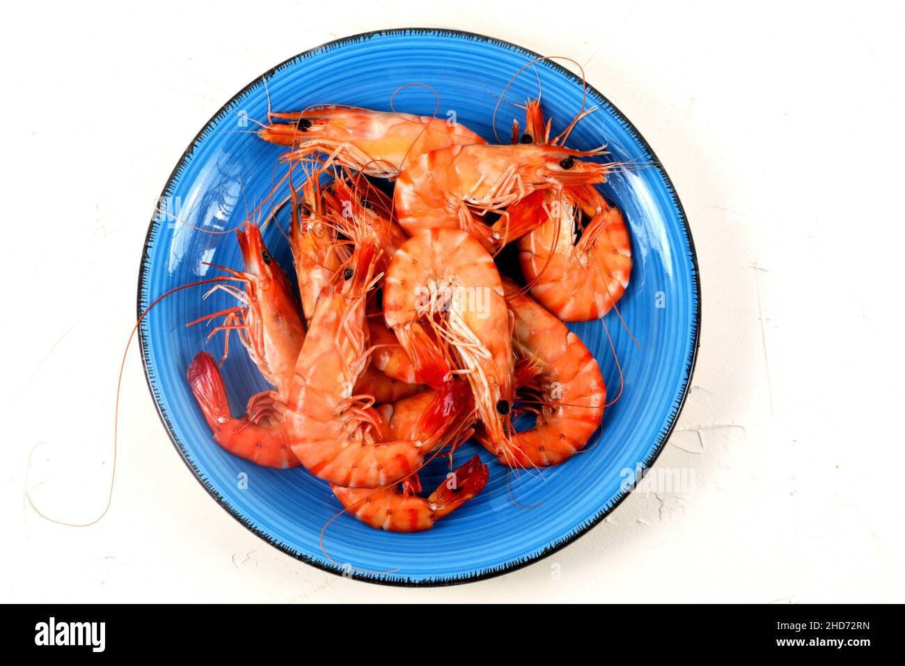 Langostino azul fotografías e imágenes de alta resolución Alamy