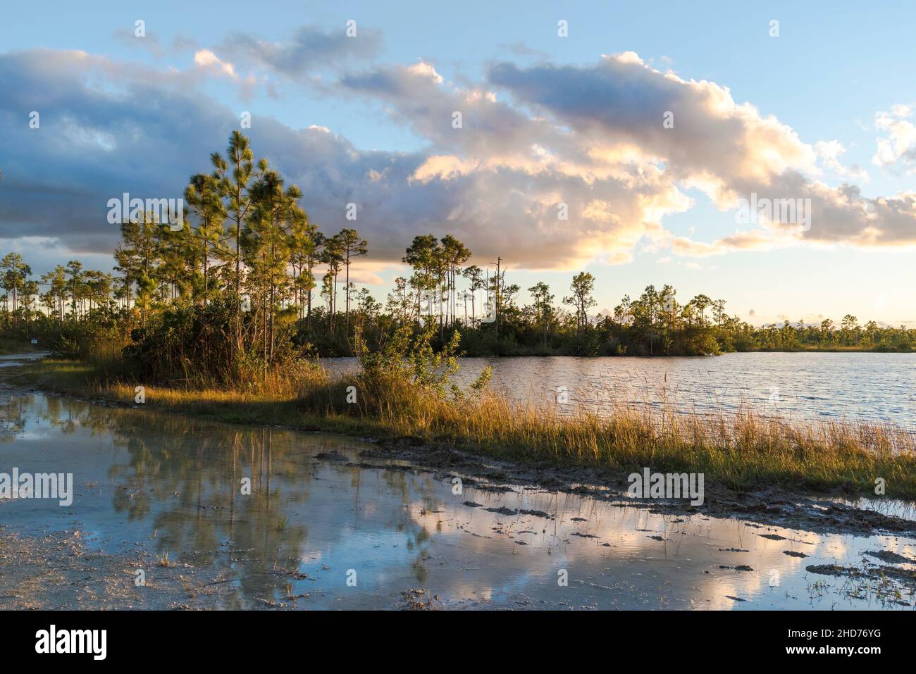 Puesta de sol en Pine Glades Lake. Florida. EE.UU. Foto de stock