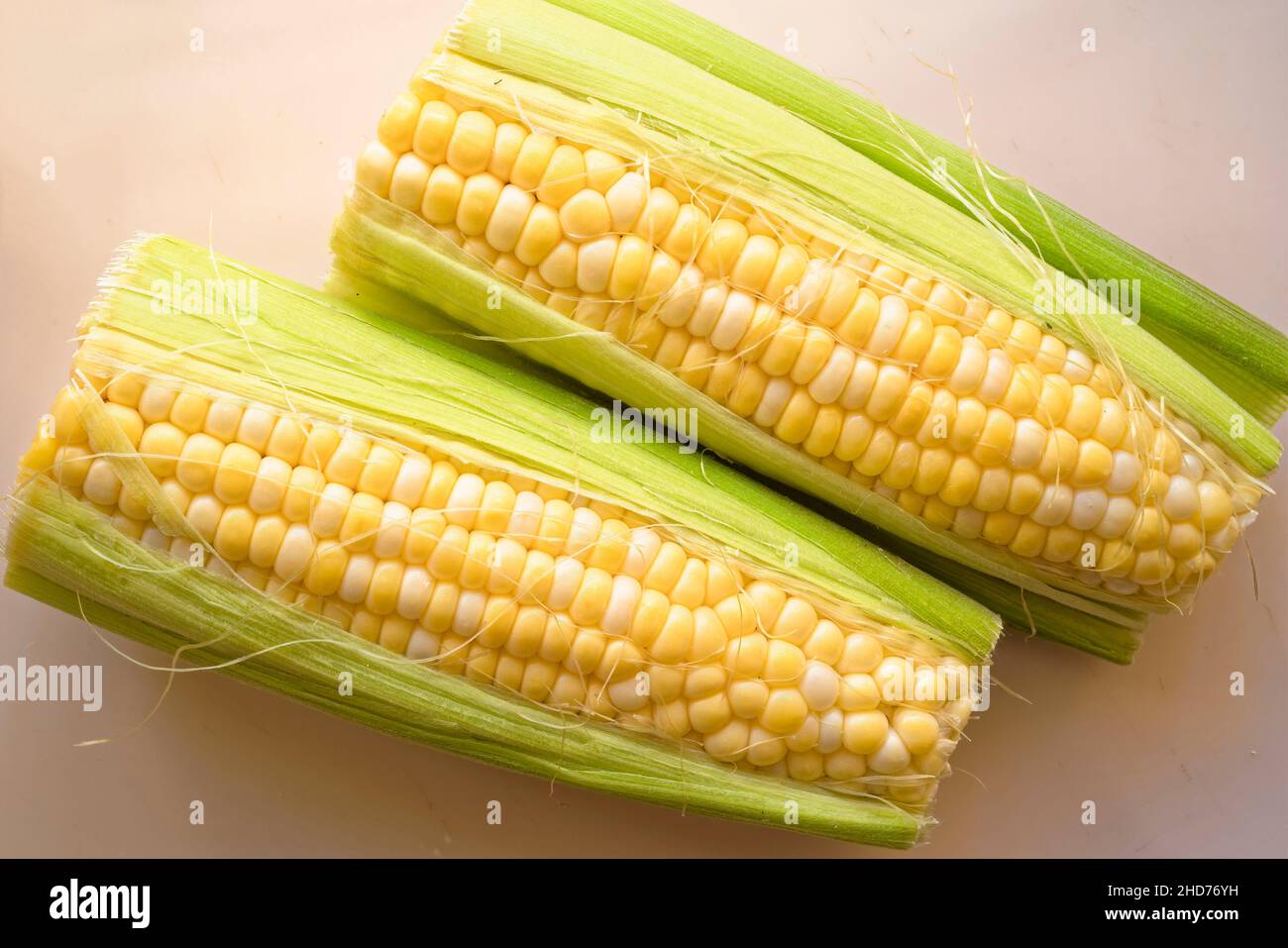 Mazorcas de maíz fresco. Foto de stock