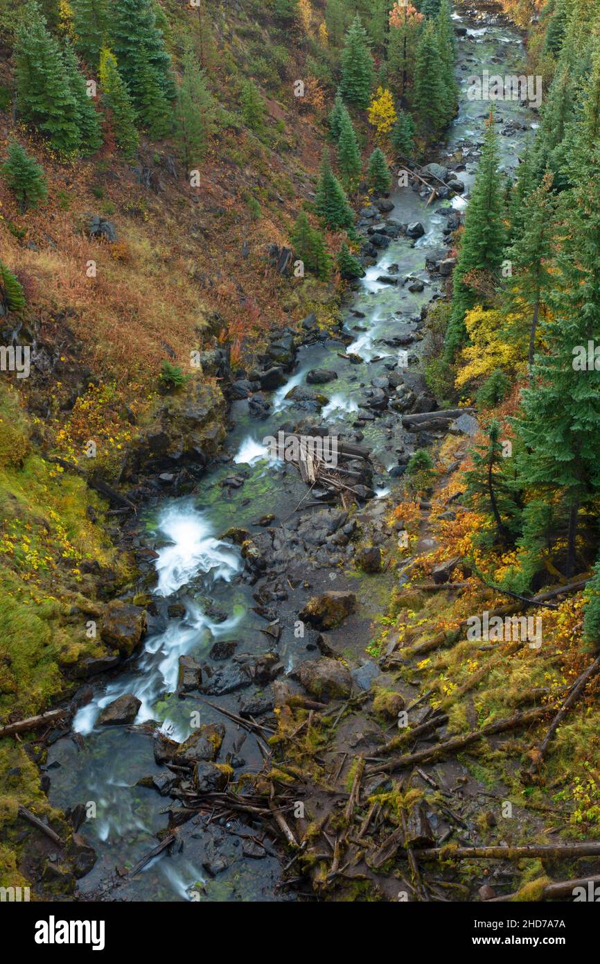 North Fork Tumalo Creek debajo de Tumalo Falls, Deschutes National Forest, Oregon. Foto de stock