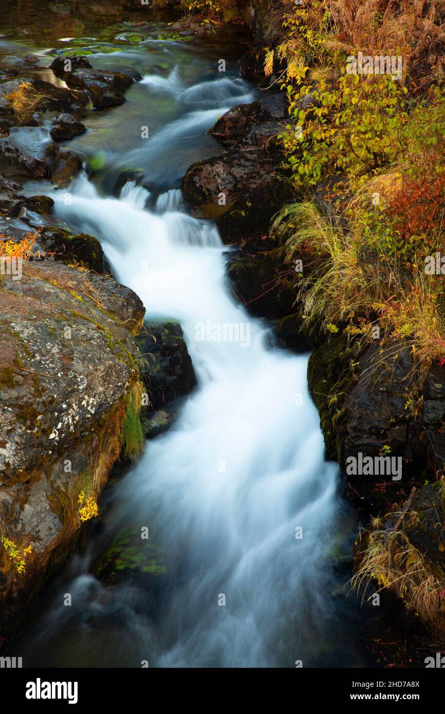 North Fork Tumalo Creek sobre Tumalo Falls, Deschutes National Forest, Oregon. Foto de stock