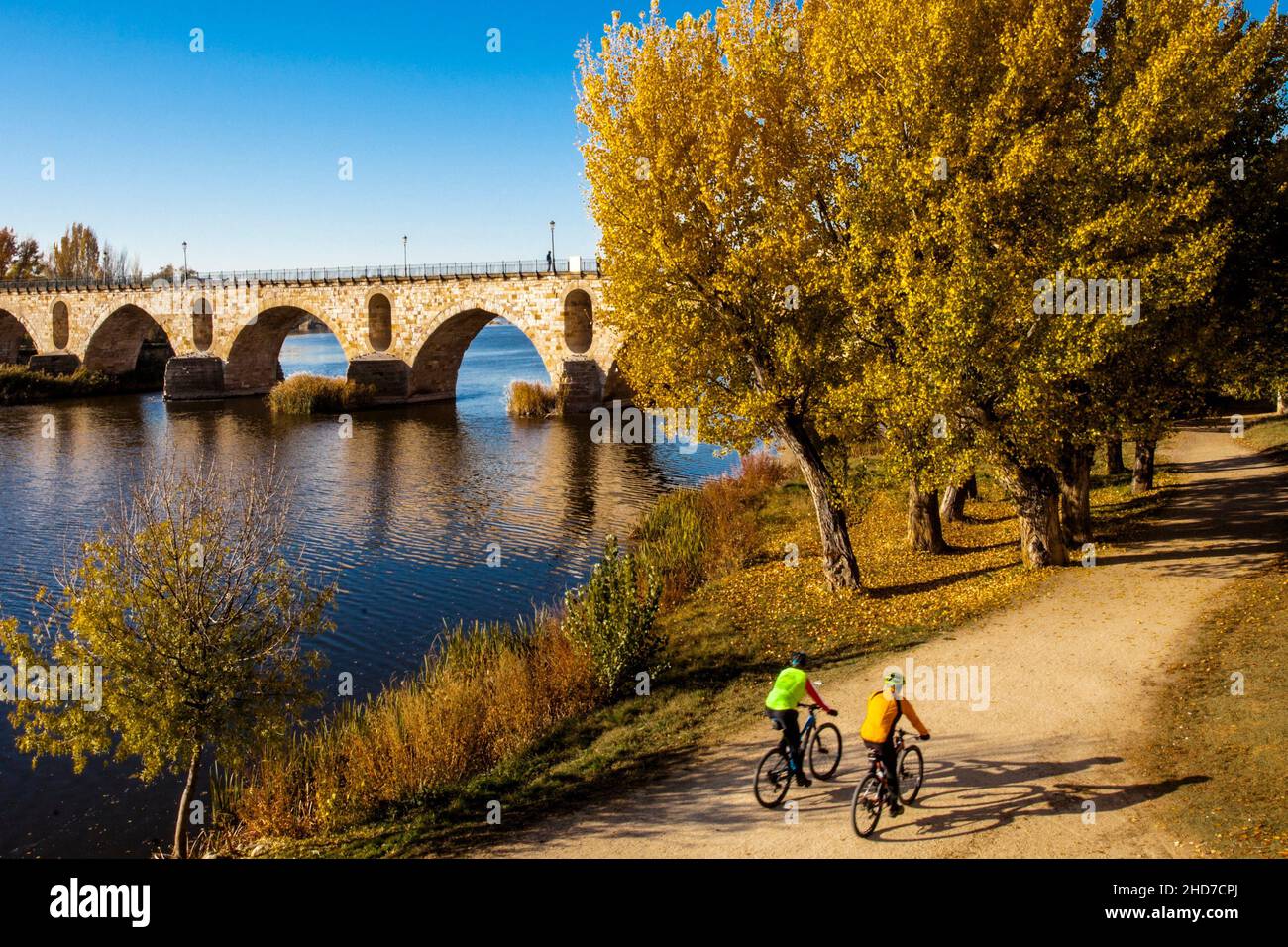 Puente de piedra, Duero Zamora, Zamora Provience, Castilla y León, España, Europa. Foto de stock