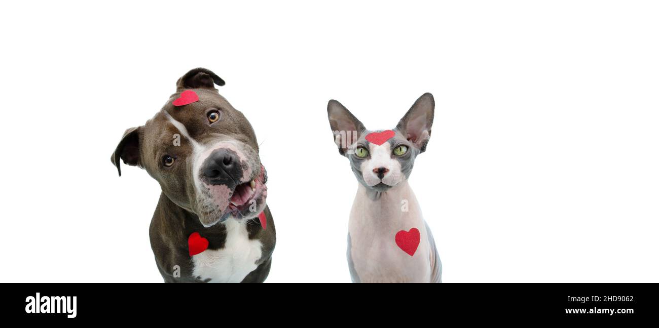 Dog stickers Imágenes recortadas de stock - Alamy