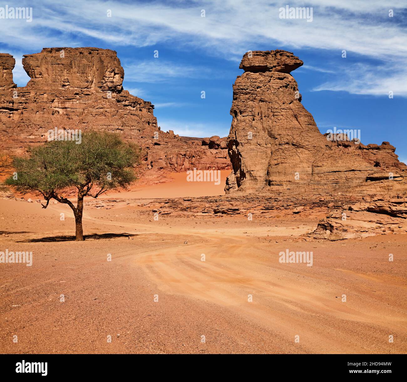 Camino en el desierto del Sahara, Argelia Foto de stock