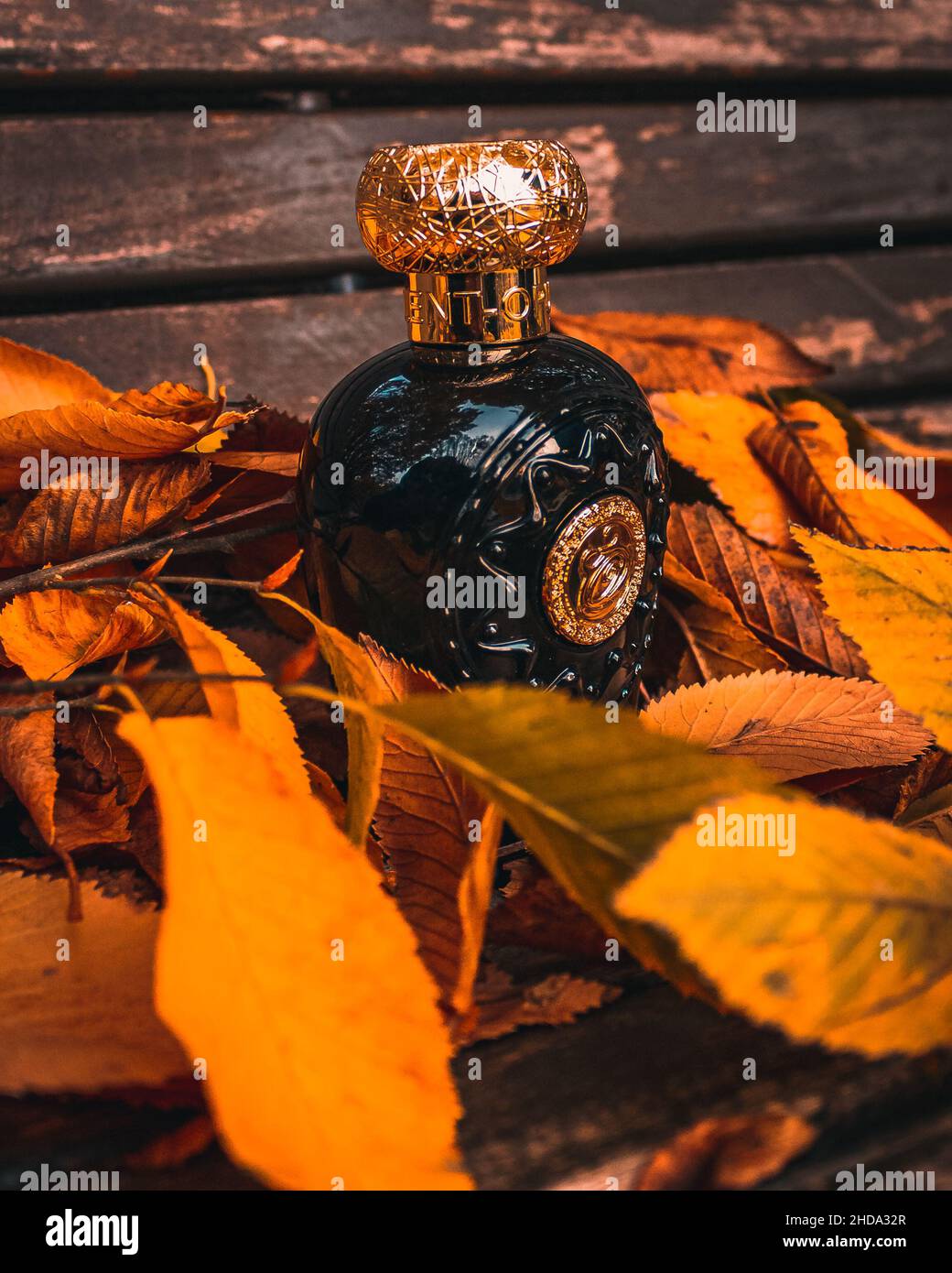 Una botella de perfume árabe con una textura lujosa en una escena otoñal Foto de stock