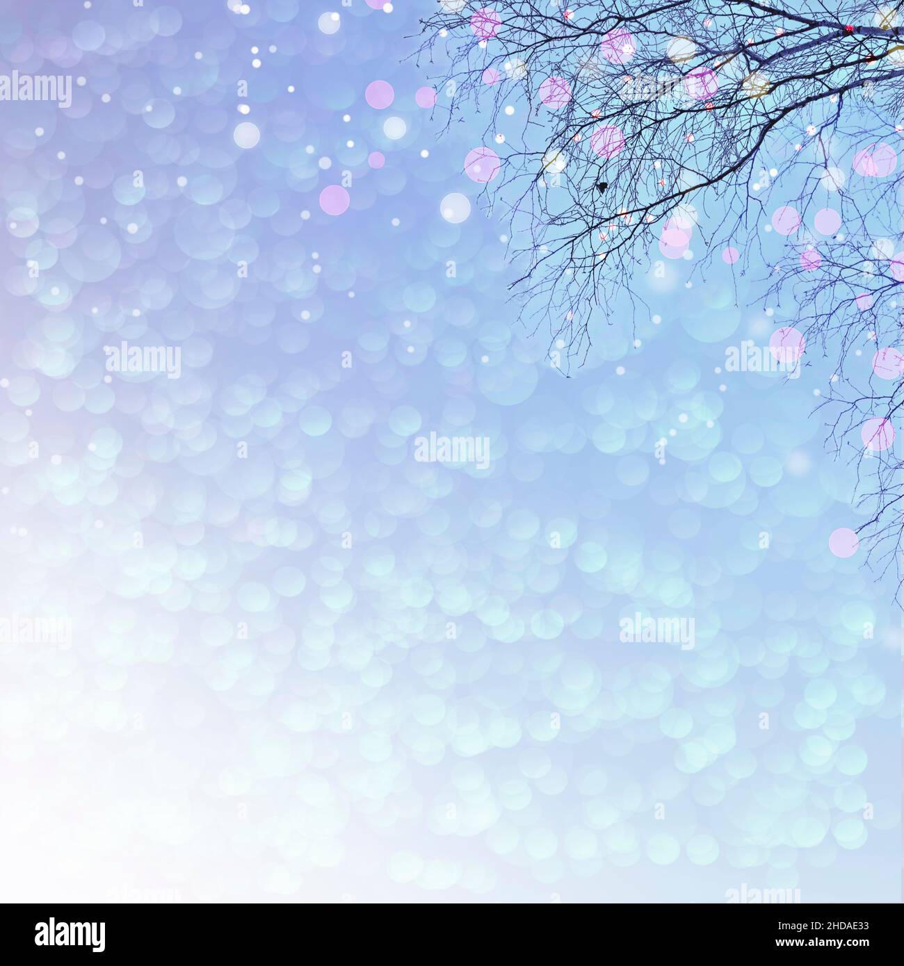 Delicado fondo de Navidad azul pastel - rama de árbol con luces festivas iluminadas. Cuento de hadas de la naturaleza invernal. Diseño minimalista para banners, Foto de stock