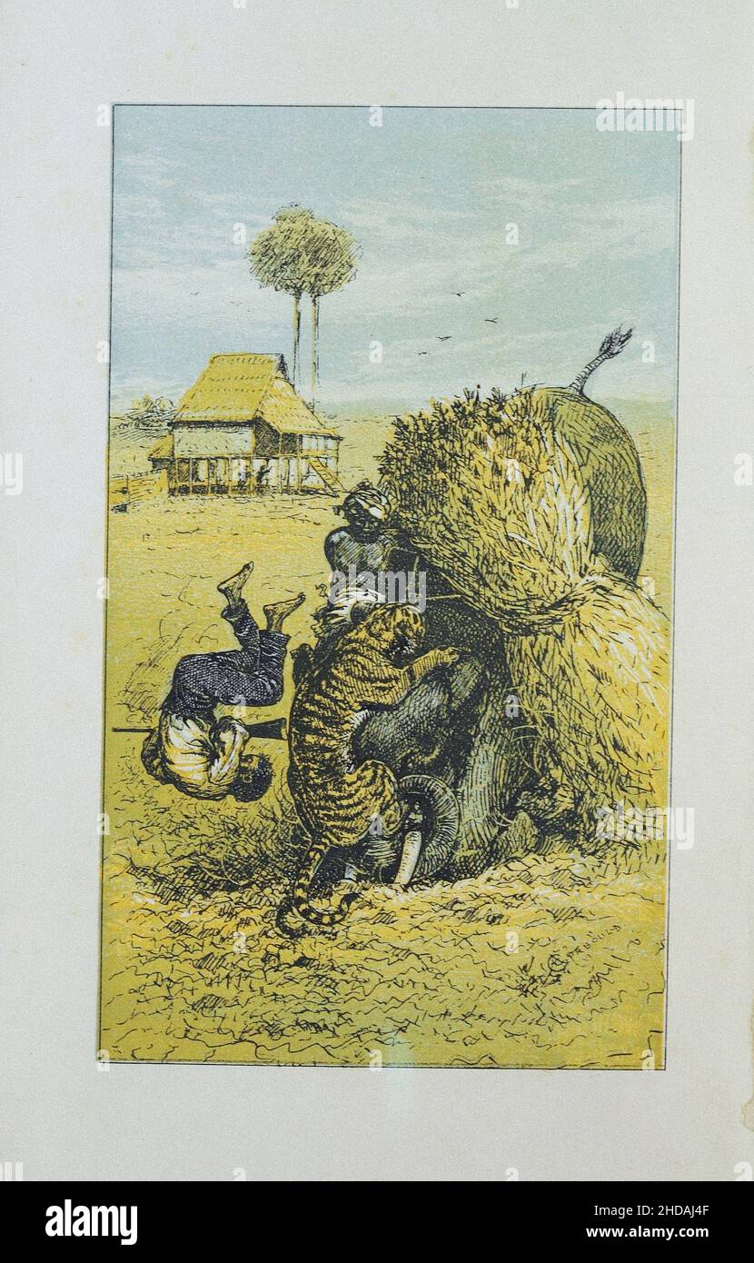 Litografía del deporte en Burmah británico, Assam, y las colinas de Cassyah y Jyntiah: Caza del tigre. 1879 Foto de stock