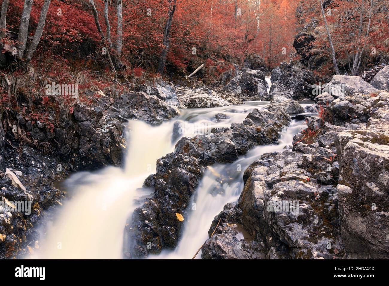 Hermosa cascada en Apuseni, imagen tomada a finales de otoño Foto de stock